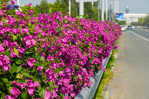 9001cc��ɳ�Գ�Ϊ��(�й�����)-�ٷ���վ