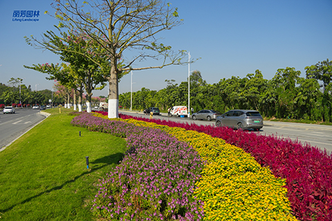 9001cc��ɳ�Գ�Ϊ��(�й�����)-�ٷ���վ