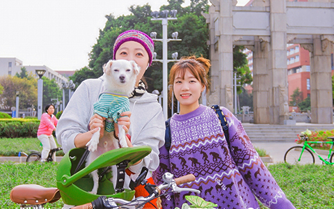 9001cc��ɳ�Գ�Ϊ��(�й�����)-�ٷ���վ