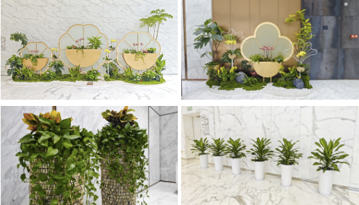 9001cc��ɳ�Գ�Ϊ��(�й�����)-�ٷ���վ