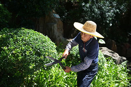 9001cc��ɳ�Գ�Ϊ��(�й�����)-�ٷ���վ