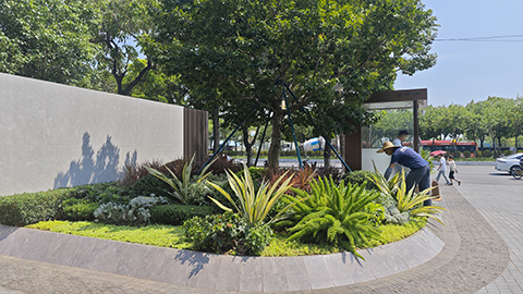 9001cc��ɳ�Գ�Ϊ��(�й�����)-�ٷ���վ