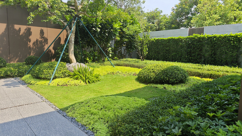 9001cc��ɳ�Գ�Ϊ��(�й�����)-�ٷ���վ