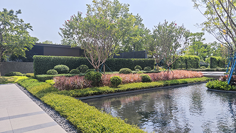 9001cc��ɳ�Գ�Ϊ��(�й�����)-�ٷ���վ