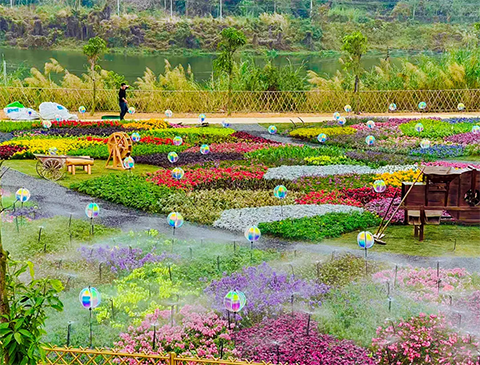 9001cc��ɳ�Գ�Ϊ��(�й�����)-�ٷ���վ