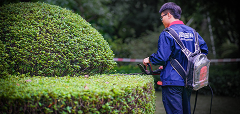 9001cc��ɳ�Գ�Ϊ��(�й�����)-�ٷ���վ