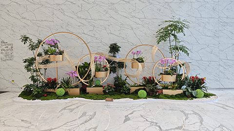 9001cc��ɳ�Գ�Ϊ��(�й�����)-�ٷ���վ