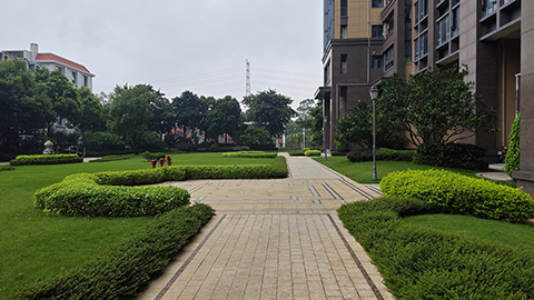 9001cc��ɳ�Գ�Ϊ��(�й�����)-�ٷ���վ