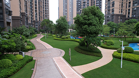 9001cc��ɳ�Գ�Ϊ��(�й�����)-�ٷ���վ