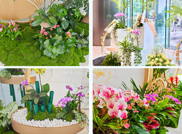 9001cc��ɳ�Գ�Ϊ��(�й�����)-�ٷ���վ