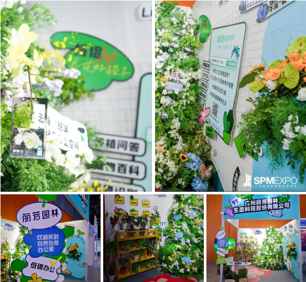 9001cc��ɳ�Գ�Ϊ��(�й�����)-�ٷ���վ