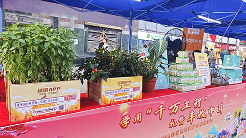 9001cc��ɳ�Գ�Ϊ��(�й�����)-�ٷ���վ