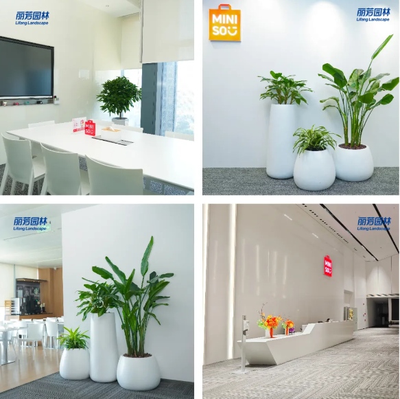 9001cc��ɳ�Գ�Ϊ��(�й�����)-�ٷ���վ