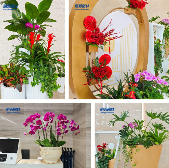 9001cc��ɳ�Գ�Ϊ��(�й�����)-�ٷ���վ