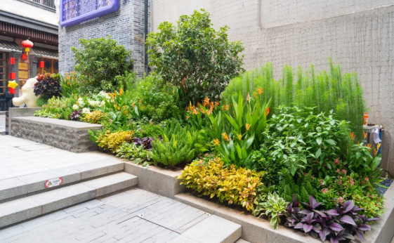 9001cc��ɳ�Գ�Ϊ��(�й�����)-�ٷ���վ