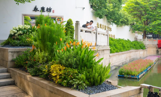 9001cc��ɳ�Գ�Ϊ��(�й�����)-�ٷ���վ