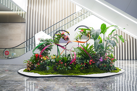 9001cc��ɳ�Գ�Ϊ��(�й�����)-�ٷ���վ