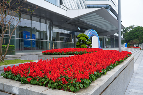 9001cc��ɳ�Գ�Ϊ��(�й�����)-�ٷ���վ