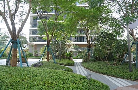 9001cc��ɳ�Գ�Ϊ��(�й�����)-�ٷ���վ