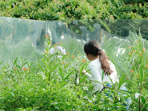 9001cc��ɳ�Գ�Ϊ��(�й�����)-�ٷ���վ