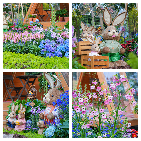 9001cc��ɳ�Գ�Ϊ��(�й�����)-�ٷ���վ