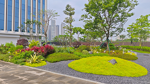 9001cc��ɳ�Գ�Ϊ��(�й�����)-�ٷ���վ