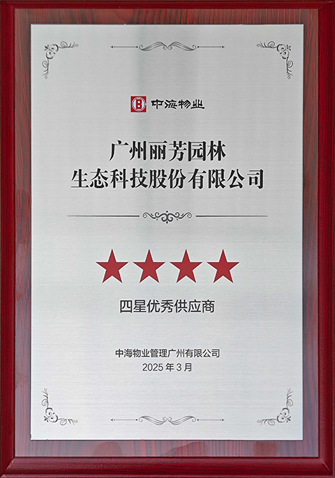 9001cc��ɳ�Գ�Ϊ��(�й�����)-�ٷ���վ