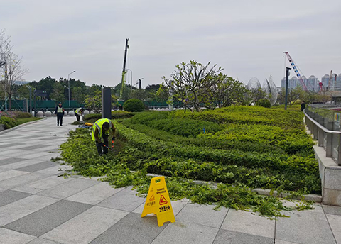 9001cc��ɳ�Գ�Ϊ��(�й�����)-�ٷ���վ