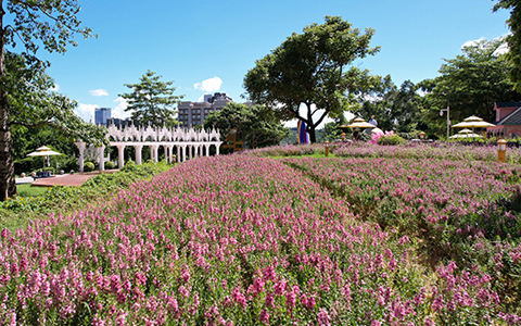 9001cc��ɳ�Գ�Ϊ��(�й�����)-�ٷ���վ