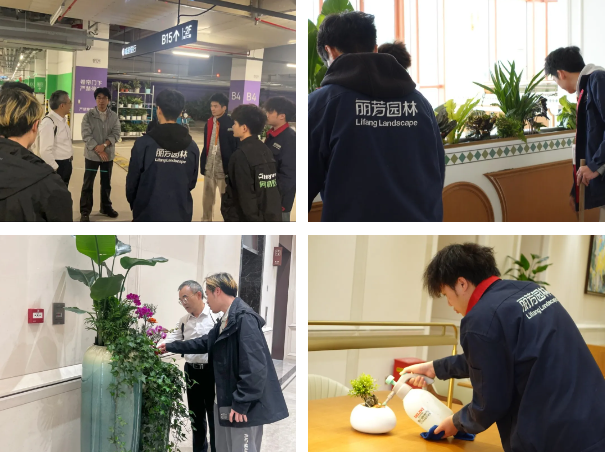 9001cc��ɳ�Գ�Ϊ��(�й�����)-�ٷ���վ