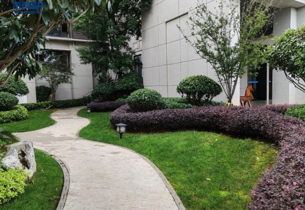 9001cc��ɳ�Գ�Ϊ��(�й�����)-�ٷ���վ