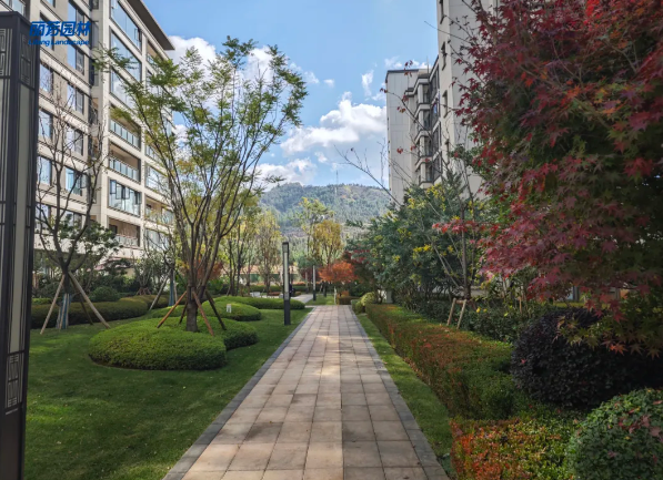 9001cc��ɳ�Գ�Ϊ��(�й�����)-�ٷ���վ