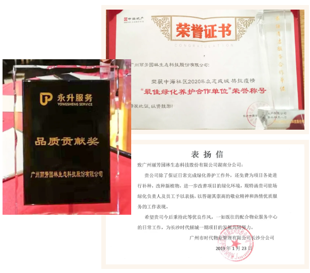 9001cc��ɳ�Գ�Ϊ��(�й�����)-�ٷ���վ