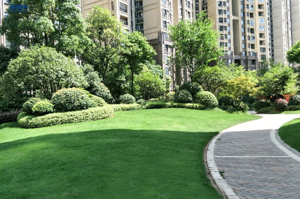 9001cc��ɳ�Գ�Ϊ��(�й�����)-�ٷ���վ