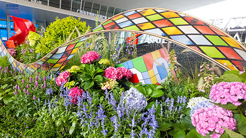 9001cc��ɳ�Գ�Ϊ��(�й�����)-�ٷ���վ