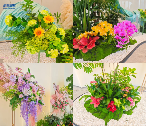 9001cc��ɳ�Գ�Ϊ��(�й�����)-�ٷ���վ