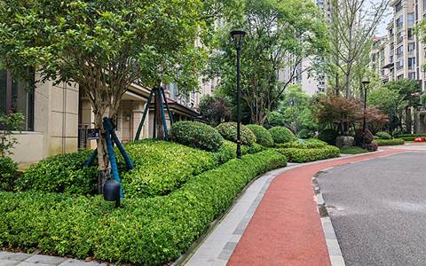 9001cc��ɳ�Գ�Ϊ��(�й�����)-�ٷ���վ