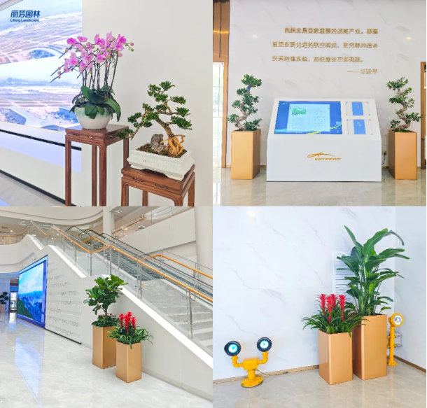 9001cc��ɳ�Գ�Ϊ��(�й�����)-�ٷ���վ