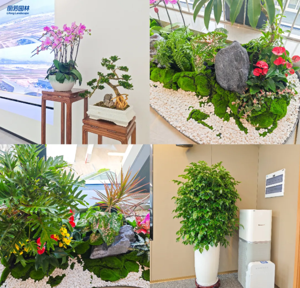 9001cc��ɳ�Գ�Ϊ��(�й�����)-�ٷ���վ