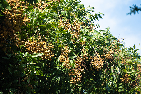 9001cc��ɳ�Գ�Ϊ��(�й�����)-�ٷ���վ