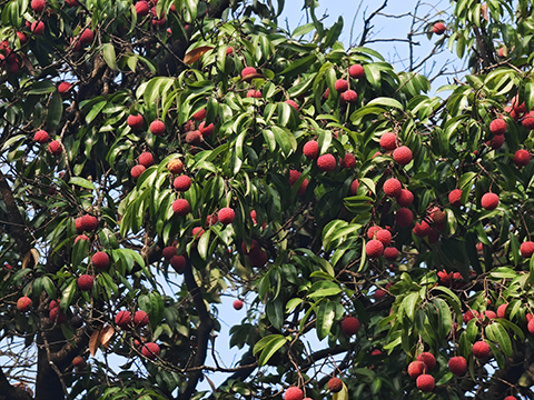 9001cc��ɳ�Գ�Ϊ��(�й�����)-�ٷ���վ