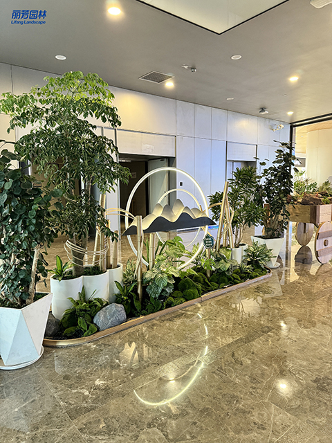 9001cc��ɳ�Գ�Ϊ��(�й�����)-�ٷ���վ