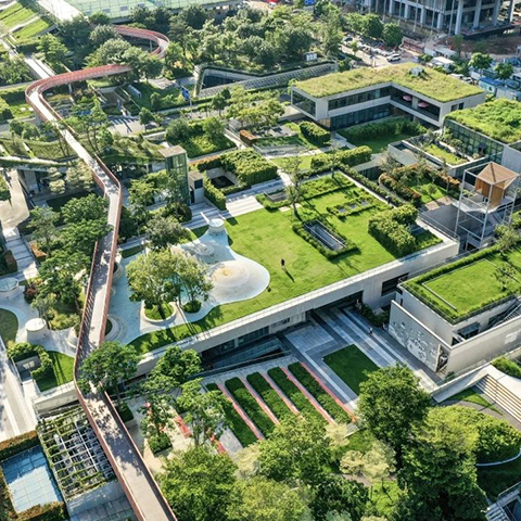 9001cc��ɳ�Գ�Ϊ��(�й�����)-�ٷ���վ