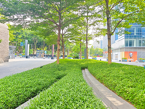 9001cc��ɳ�Գ�Ϊ��(�й�����)-�ٷ���վ