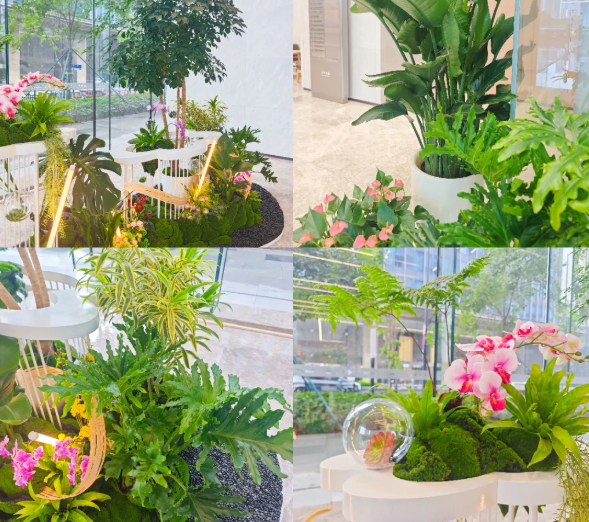 9001cc��ɳ�Գ�Ϊ��(�й�����)-�ٷ���վ