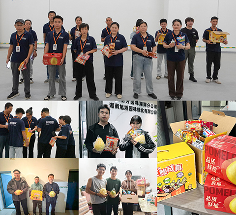 9001cc��ɳ�Գ�Ϊ��(�й�����)-�ٷ���վ