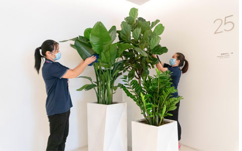 9001cc��ɳ�Գ�Ϊ��(�й�����)-�ٷ���վ