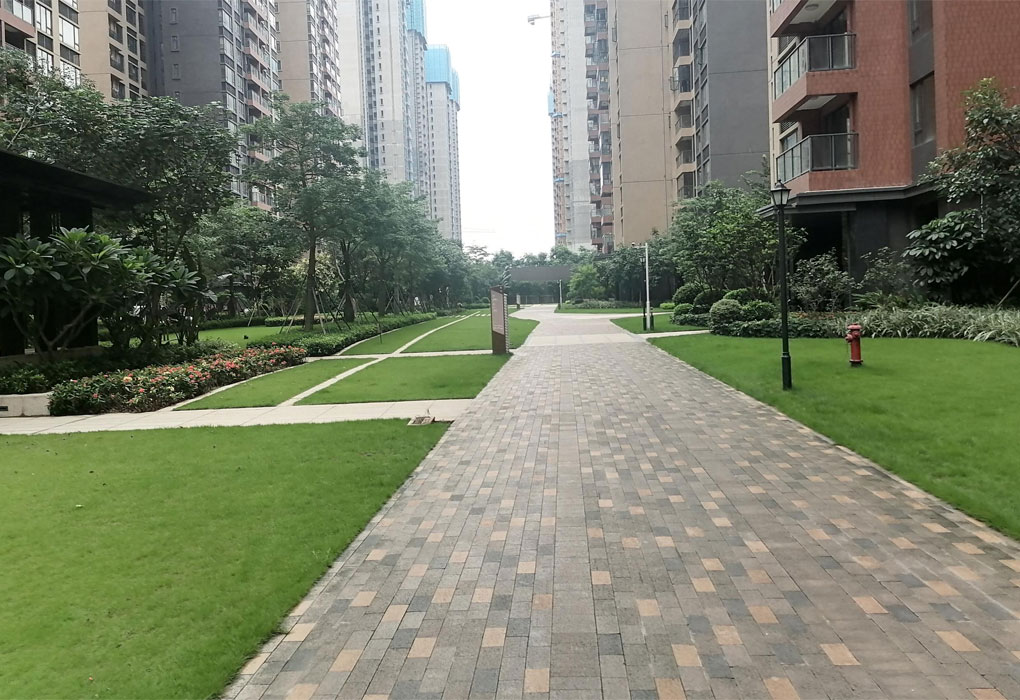 9001cc��ɳ�Գ�Ϊ��������Ŀ��Զ��ҵ����