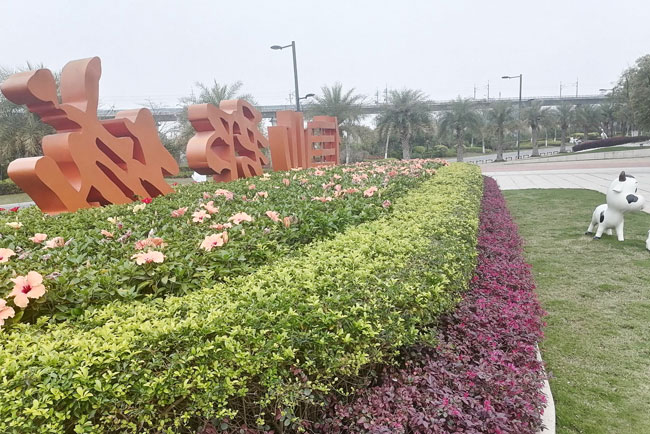 9001cc��ɳ�Գ�Ϊ��������Ŀ��Զ��ҵ����