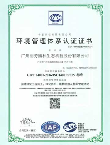 9001cc��ɳ�Գ�Ϊ��(�й�����)-�ٷ���վ